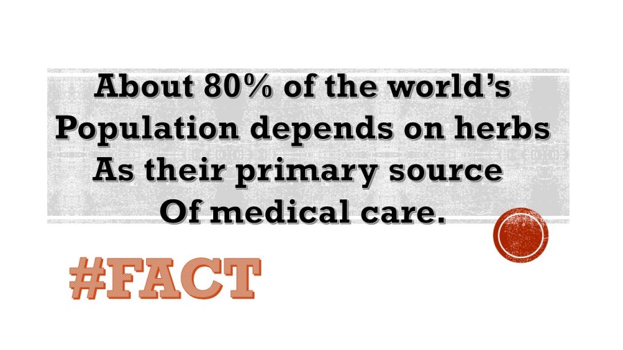 MEDICINES IN MY&nbsp;KITCHEN